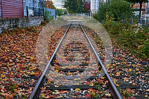 Railway through the fall photo