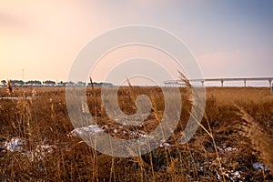 Railway in the field at sunset