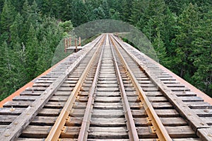 Railway through forest