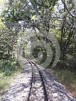 Railway in the forest