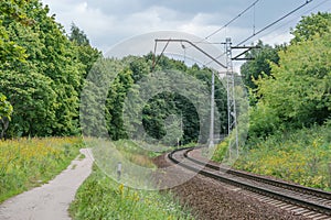 Railway by the forest