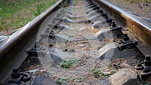 Railway in the forest