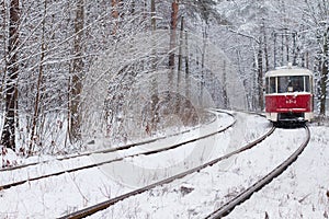 Railway in forest