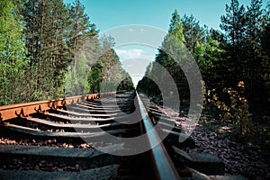 Railway in the forest