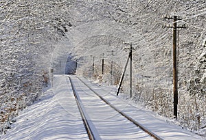 Railway through frozen forest