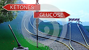 Vias ferreas participación  glucosa 