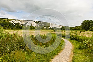 The Railway Land Wildlife Trust and Cliffe Hill in the distance