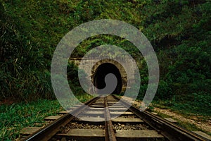 Railway leads into a dark tunnel amid greenery