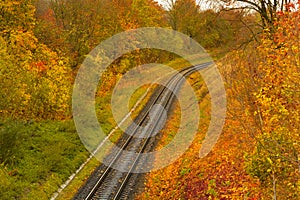 Railway leaving in the autumn forest.