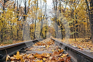 Railway line close-up, yellow leaves autumn forest