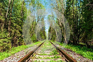 Railway line in countryside on sunny day. Train journey.