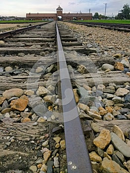 Railway lines birkenau