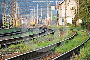 Railway lines leading to container transhipment station photo