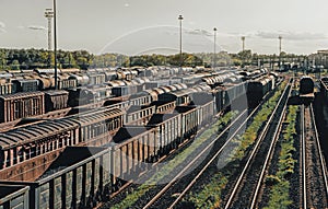 Railway marshalling yard. A lot of rail cars.