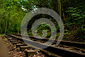 A railway in the middle of a spring forest. Mezmai Russia