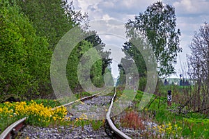 The railway path running through a line with a slightly blurred forground