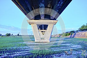 Railway pilon on a paddy field. Color image
