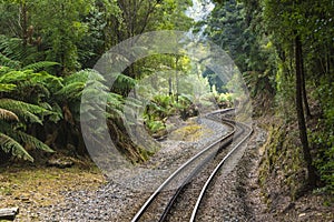 Railway in the rain forest