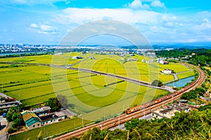 Railway and the rice field
