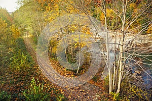 Railway road in autumn forest