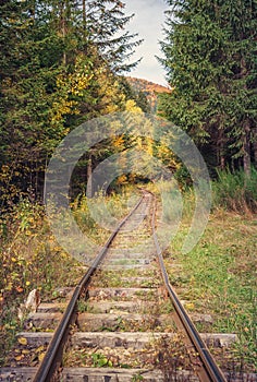 Railway road in autumn forest