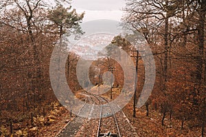 Railway road from the Heidelberg town up the hill.