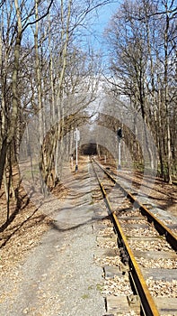 Railway with semaphores in forest park - Kharkiv, Ukraine