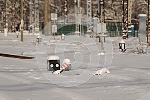 MANUAL RAILWAY SWITH