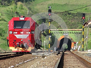 Railway station with red locomotives and green tunnel in the background