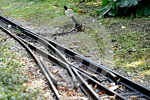 Railway switches and crossings