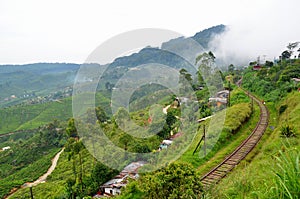 Railway through tea plantations photo
