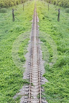 railway top view with green plant
