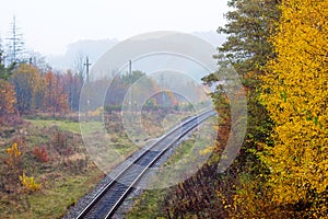 Railway track in the autumn forest, top view_