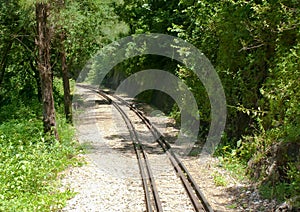 A Railway track through forest in Thailand.