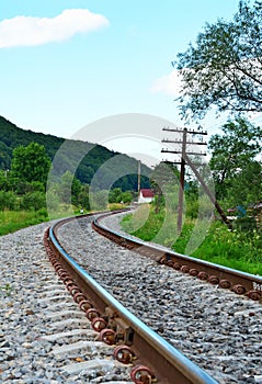 Railway track in a green forest