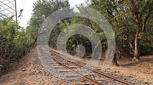 Railway track laid down in the dense forest.