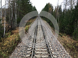 Railway track in the middle of the forest