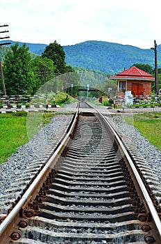 Railway track near the green forest