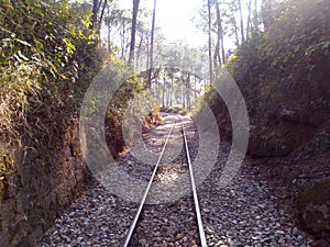 Railway Track in Palampur Himachal Pradesh India Background View Himachal Pradesh India Background View