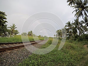 Railway track passing through the jungle