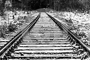 Railway tracks in black and white. Perspective view