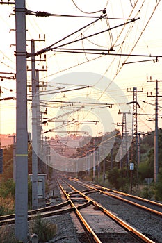 Railway Tracks in Evening Sun