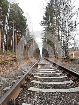 Railway tracks extending into the distance. Rails in the forest.