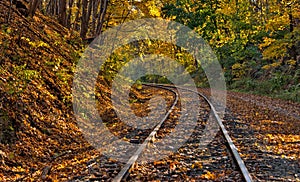 Railway tracks with fall foliage