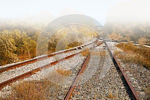 Railway Tracks in the Fog