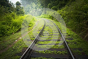 Railway tracks in green countryside