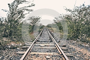 Railway Tracks in the middle of Nowhere
