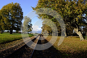 Railway Tracks Morrinsville New Zealand