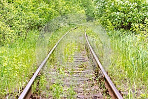 Railway tracks overgrown with grass