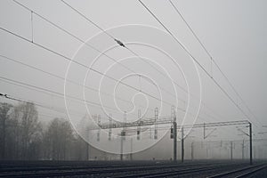 Railway tracks and overhead wires in heavy fog